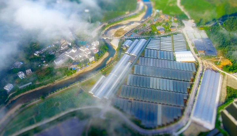 1749172629349788.jpg 1740717468154569.jpg